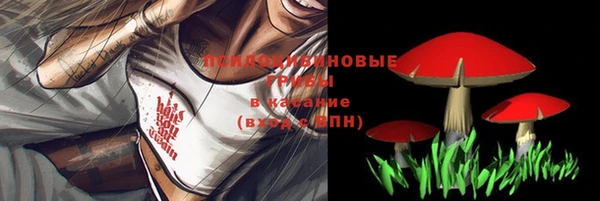 дживик Михайловск