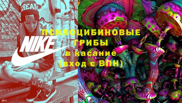 mdpv Надым
