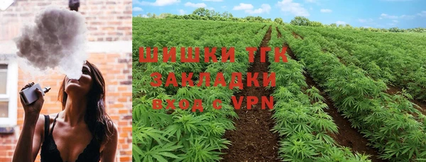ГАЛЛЮЦИНОГЕННЫЕ ГРИБЫ Михайловка